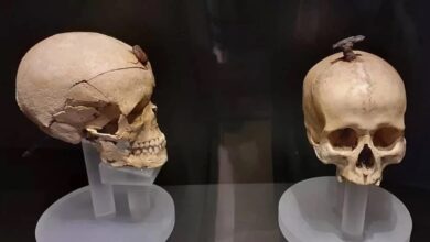 लौह युग में नाखूनों के साथ खोपड़ी को स्पेन जटिल अनुष्ठान प्रथाओं का सुझाव देता है