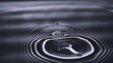 पानी की बूंदों में माइक्रोलाइटिंग पृथ्वी पर जीवन की उत्पत्ति की व्याख्या कर सकता है