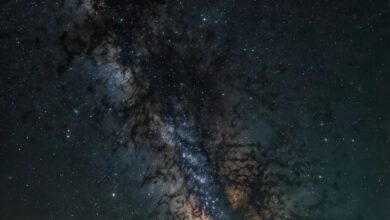 नए अध्ययन से पता चलता है कि कैसे पल्सर मिल्की वे में डार्क मैटर को मापने में मदद करते हैं