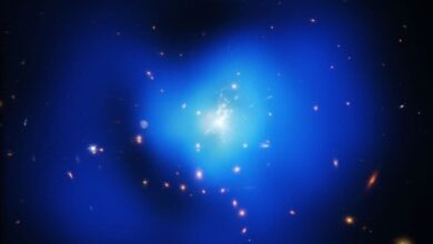 JWST फीनिक्स क्लस्टर में कूलिंग गैस की पहचान करता है, स्टार गठन प्रक्रिया को अनलॉक करना